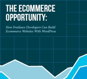 the_ecommerce_opportunity